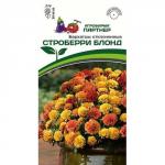 Бархатцы отклоненные Строберри Блонд (снова в продаже)