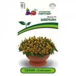 Виола "Соблазн" Шерхан F1