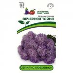 Астра китайская Вечерняя Тайна