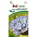 Виола ампельная Кул Вэйв Фрост F1