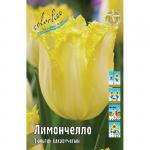 ТЮЛЬПАНЫ БАХРОМЧАТЫЕ
