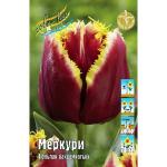 ТЮЛЬПАНЫ БАХРОМЧАТЫЕ