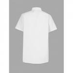 Рубашка детская Tsarevich Charlie 1-K