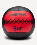 Медбол Insane IN24-WB100, 5 кг, красный