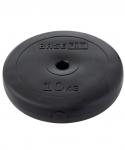 Диск пластиковый BASEFIT BB-203 d=26 мм, черный, 10 кг