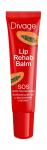 DIVAGE Бальзам для губ Lip Rehab Balm с экстрактом Папайи