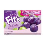 LOTTE Жевательная резинка Fit`s Виноградный микс 12 пластинок, 24.6 гр