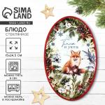 Блюдо овальное новогоднее «Тепла и уюта», 24.5?15?2 см, стекло