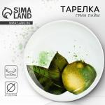 Тарелка керамическая «Сочный лайм», 22.5 см, Dolce Ceramo