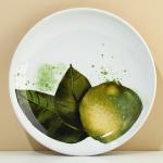 Тарелка керамическая «Сочный лайм», 22.5 см, Dolce Ceramo