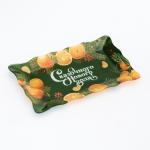 Блюдо стеклянное новогоднее «Сказочного нового года», 24.6?14.7 см
