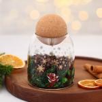 Банка для хранения новогодняя «Зимние истории», стекло, 500 мл