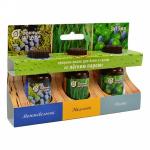 Набор эфирных масел Банные штучки С легким паром, Пихта, можжевельник, эвкалипт, по 15мл