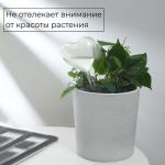 Автополив для комнатных растений «Сердце», 190 мл, ПВХ, Greengo