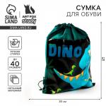 Мешок для обуви «Дино» 41?30 см
