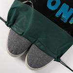 Мешок для обуви «Дино» 41?30 см