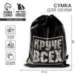 Мешок для обуви «Круче всех» непромокаемое полотно 41?30 см