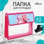 Папка для тетрадей А5 230?190?50 мм, с клапаном на липучке, пластик/текстиль, «Аниме подружки»
