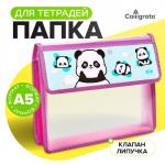 Папка для тетрадей А5 230?190?50 мм, с клапаном на липучке, пластик/текстиль, «Пандочки»