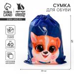 Мешок для обуви «Собака» 41?30 см