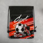 Мешок для обуви Sport, 41?30 см