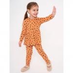 Комплект кашкорсе 7897400102