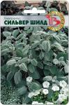 Плектрантус Сильвер Шилд