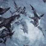 Постельное бельё 1.5-спальное «Этель» Shark, бязь