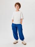 Брюки детские для мальчиков Ridder_pt васильковый