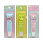 WELCOS ENRICHED LIP Бальзам-эссенция для губ со вкусом клубники, 8.5г (гладкость и эластичность)