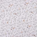 Постельное бельё 2-спальное LoveLife Line, сатин