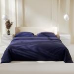 Постельное бельё 1.5-спальное «Этель. Синяя пыль», поплин