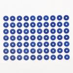 Аппликатор «Кузнецова», 70 колючек, пленка, 23?32 см, синий.