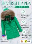 Куртка парка зимняя детская подростковая для девочки с капюшоном и мехом зеленого цвета 9442Z