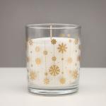 Ароматическая свеча в стакане «Зимний лес»