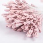 "Blumentag" Тычинки для искусственных цветов TIC/NSM-1 10 х 160 шт