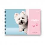 "Светоч" А232 Альбом для рисования, выбор.лак. 100 г/м2 A4 29.5 х 21 см 5 шт. на гребне 40 л.