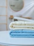 Набор полотенец махровых Ирбис из 2шт (70*140+70*140) Реноме