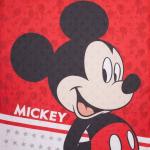 Постельное бельё 1.5-спальное «Этель. Мышонок», поплин