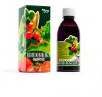 ФАРМ ГРУПП Шиповника сироп, 250мл