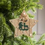 Ёлочная игрушка «Звезда с Дедом Морозом и оленем», 16?16?3, от батареек АААx2, свечение тёплое белое