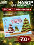 Набор для творчества «Ёлочка пряничная», с имбирно-медовыми пряниками, 700 г
