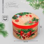 Коробка подарочная круглая «Новогодняя ботаника», 14.5?22.5 см