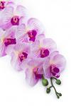 Веточка декоративная "Орхидея" 93 см (SF-8089) сиреневый/белый