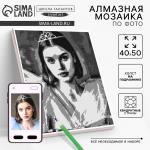 Алмазная мозаика по фото с полным заполнением «Gray», на холсте с подрамником, 40?50 см