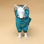 Комбинезон для собак, демисезонный с козырьком, размер 2XL (ДС 45, Ог 62, ОШ 47 см), голубой