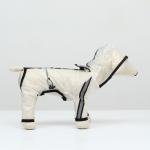 Дождевик-комбинезон для собак, р-р 2XL (ДС 42, ОГ 55, ОШ 46.5 см, вес 15-20 кг), прозрачный