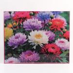 Алмазная вышивка полное заполнение «Астры», на раме, 40?50 см