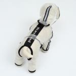 Дождевик-комбинезон для собак, р-р 6XL (ДС 58, ОГ 86.5, ОШ 66 см, вес 50-60 кг), прозрачный