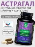 АСТРАГАЛ и сок АЛОЕ сухой концентрированный для иммунитета, для горла, от вирусов, 60 капсул Простые решения